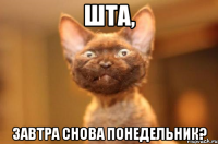 шта, завтра снова понедельник?