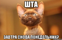 шта завтра снова понедельник?