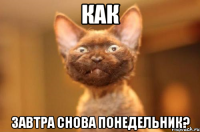 Как завтра снова понедельник?