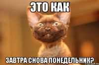 это Как завтра снова понедельник?