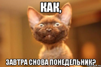 Как, завтра снова понедельник?