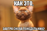 Как это, завтра снова понедельник?
