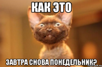 Как это завтра снова понедельник?