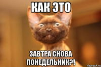 Как это завтра снова понедельник?!