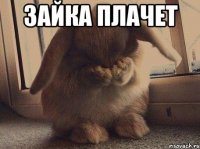 Зайка плачет 