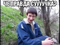 Че правда суууучка? 