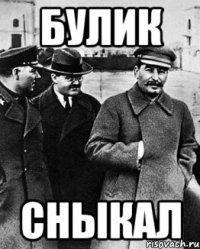 Булик сныкал