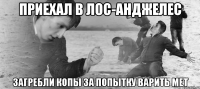 Приехал в Лос-Анджелес Загребли копы за попытку варить мет