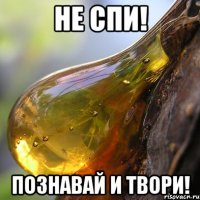не спи! познавай и твори!