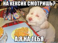 на кексик смотришь? а я на тебя