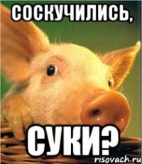 Соскучились, суки?