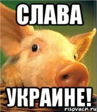 слава украине!