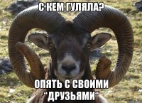 С кем гуляла? Опять с своими “друзьями“