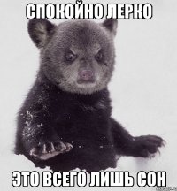 Спокойно Лерко это всего лишь сон