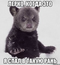 Лерко, когда это я спал в такую рань