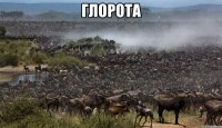 Глорота 