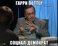 гарри поттер социал-демократ