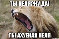 Ты Неля?Ну да! Ты ахуеная Неля