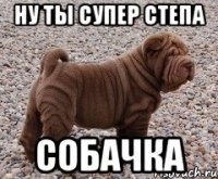 Ну ты супер степа Собачка