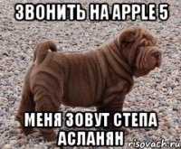Звонить на apple 5 Меня зовут Степа Асланян