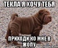 Текла я хочу тебя Приходи ко мне в жопу