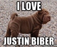 I LoVe JuStIn BiBeR