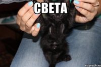 света 