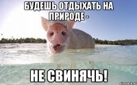 Будешь отдыхать на природе - не свинячь!