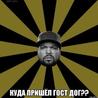  Куда пришёл гост дог??