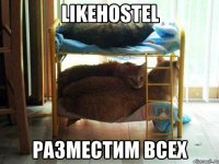 Likehostel разместим всех