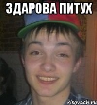 Здарова Питух 