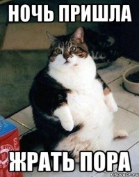 НОЧЬ ПРИШЛА ЖРАТЬ ПОРА