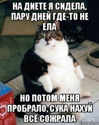 НА ДИЕТЕ Я СИДЕЛА, ПАРУ ДНЕЙ ГДЕ-ТО НЕ ЕЛА НО ПОТОМ МЕНЯ ПРОБРАЛО, СУКА НАХУЙ ВСЁ СОЖРАЛА