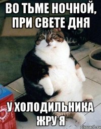 ВО ТЬМЕ НОЧНОЙ, ПРИ СВЕТЕ ДНЯ У ХОЛОДИЛЬНИКА ЖРУ Я