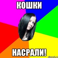 КОШКИ НАСРАЛИ!