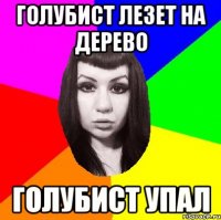 голубист лезет на дерево голубист упал