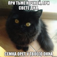 При тьме ночной, при свете дня, Семка орет у твоего окна