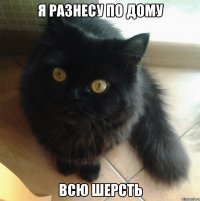 я разнесу по дому ВСЮ ШЕРСТЬ