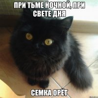 при тьме ночной, при свете дня семка орёт