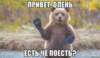 привет, олень есть чё поесть?