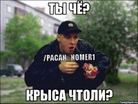 ТЫ ЧЁ? КРЫСА ЧТОЛИ?