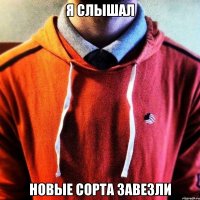 Я слышал Новые сорта завезли