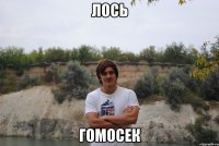 лось гомосек