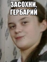 засохни, гербарий 