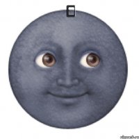 &#8194; 