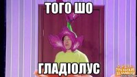 ТОГО ШО ГЛАДІОЛУС