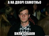 А на дворі самотньо Вили собаки