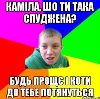 Каміла, шо ти така спуджена? будь прощє і коти до тебе потянуться
