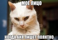  когда аня пишет поянтно