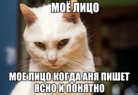  мое лицо когда аня пишет ясно и понятно